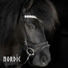 Hodelag Silver leaves thumbnail