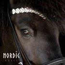 Hodelag Silver leaves thumbnail