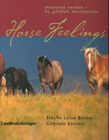 Horse Feelings