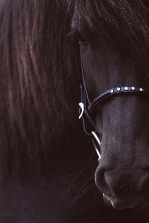 Høy Nesereim med 5 stener