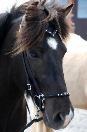 Nesereim med 5 stener